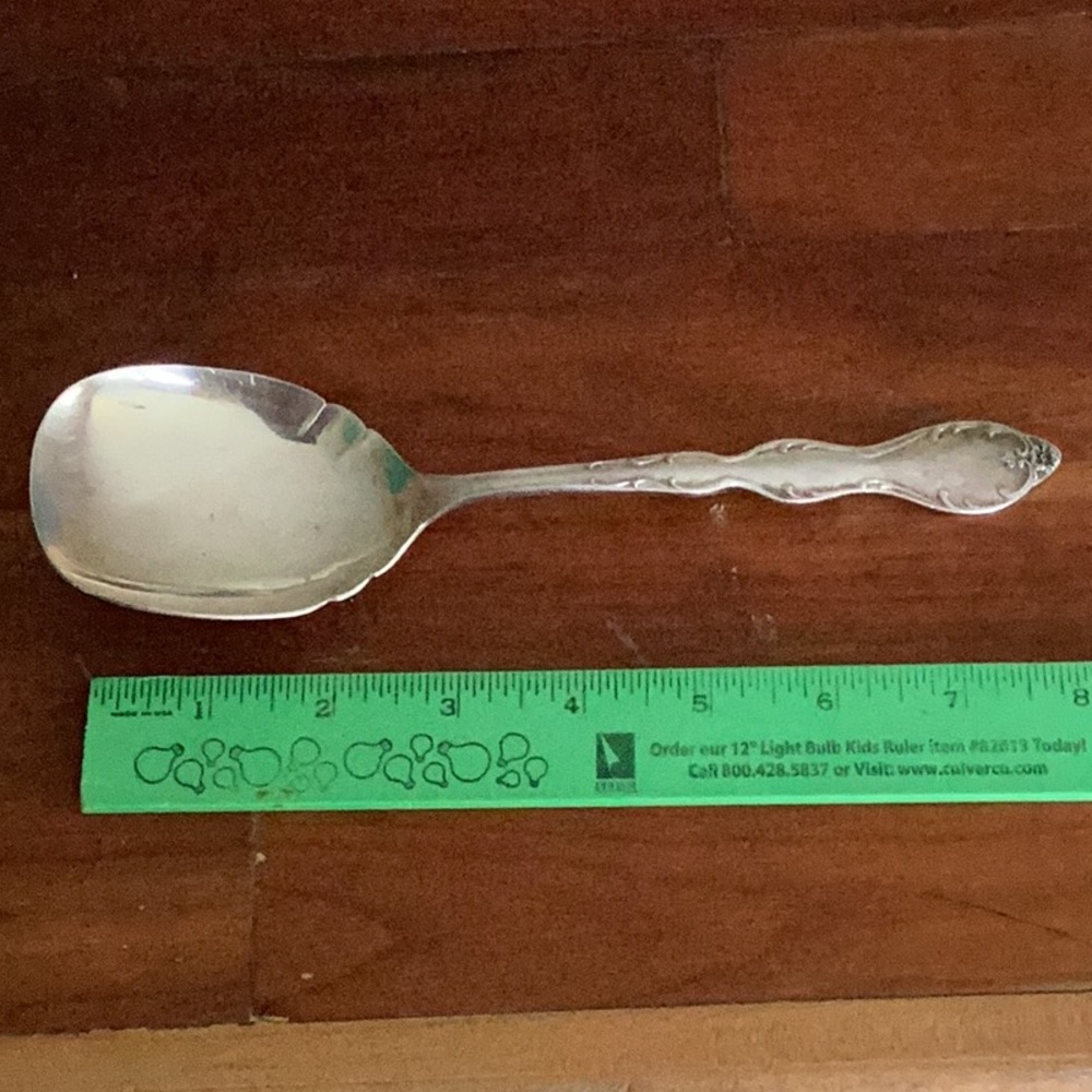 🥄 Wm Rogers MfG Co. EXTRA PLATE SILVER SERVICE SPOON  8 1/2”VNUC